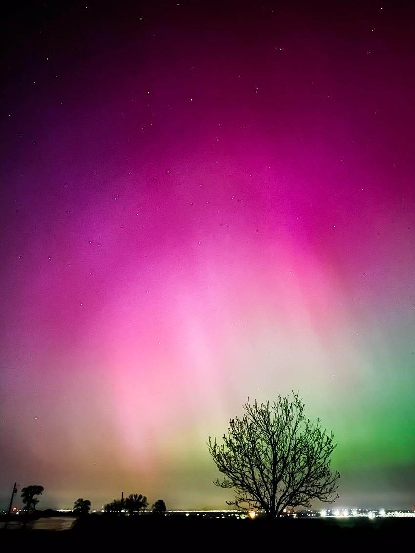 Purple and green aurora borealis with stars above and a silhouette of a tree in the foreground